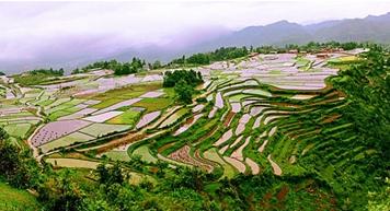 丘陵山區農機化發展問題分析及建議 www.bjpeds.cn